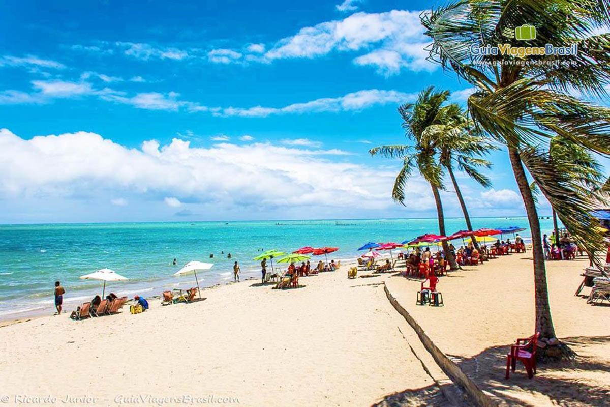 Ape 100 Metros Do Mar - Praia Maceió Exterior foto